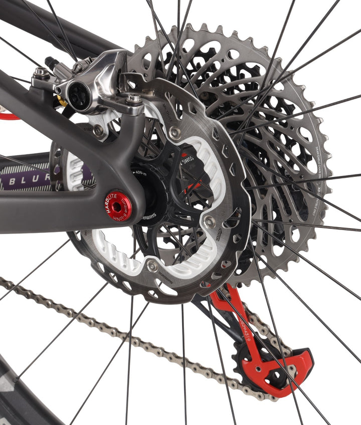 Santa Cruz Blur CC Carbon Mtn Bike 1x 12s MD Matte Black XTR SID SRAM X01 2019