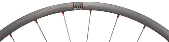 Bontrager RXL 29er Alloy TLR CL Disc Mtn Bike FRONT Wheel 12x 100mm QR MTB