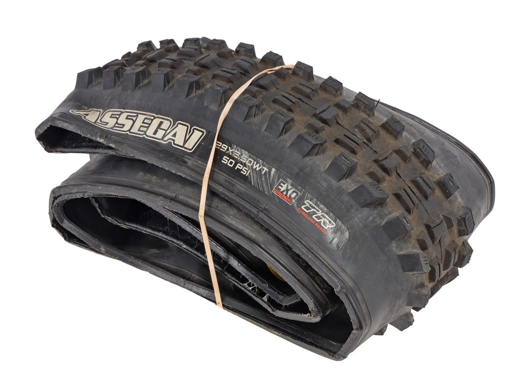 Maxxis Assegai Tubeless Mountain Bike Tire 29x 2.50" WT EXO TR Downhill Trail