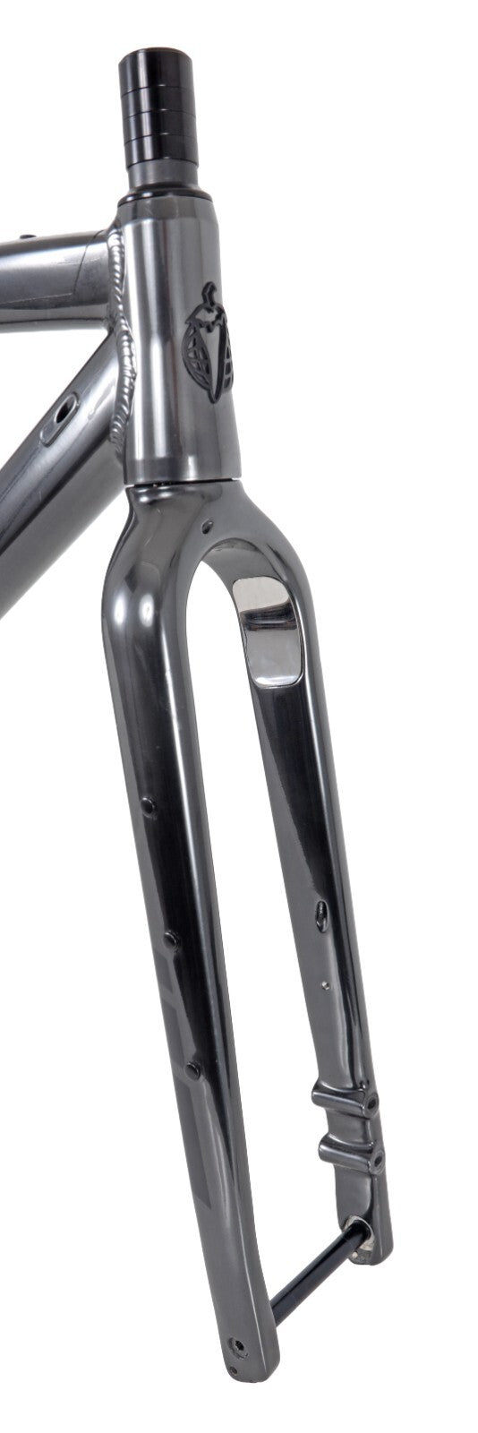 Salsa Cycles Stormchaser Alloy Disc Gravel Bike Frameset 54.5cm Black 700c 2021
