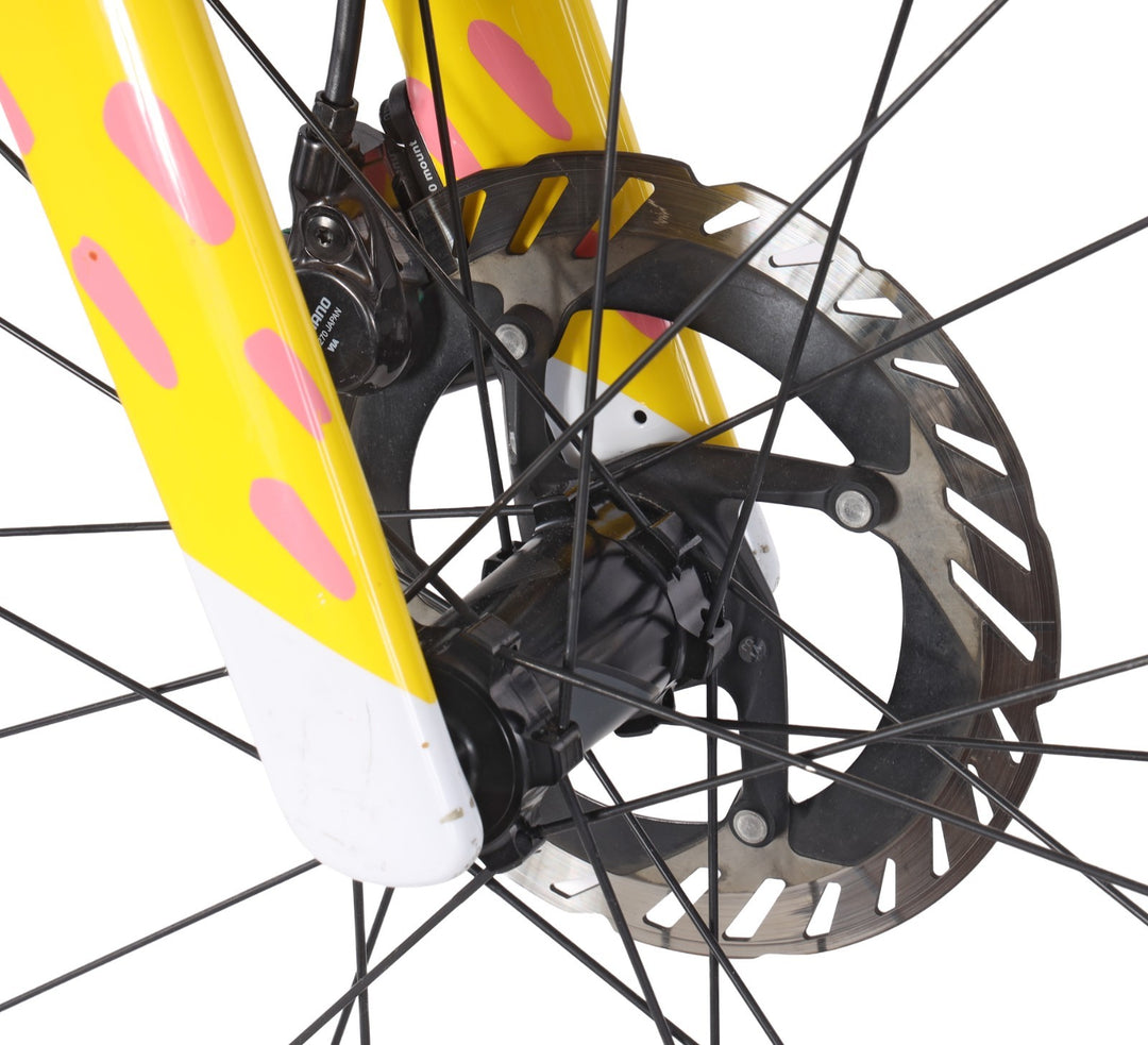 Cannondale EF Pro Team Issue SuperSix EVO LAB71 2x 12s Di2 Carbon Bike 54cm Road