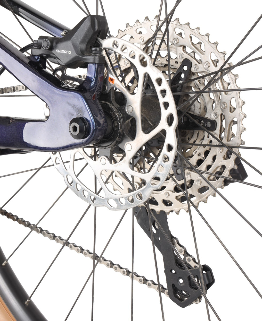 Polygon Syncline DR6 Carbon 29" Mountain Bike 1x 12s SM Blue Fox Shimano 2025/26