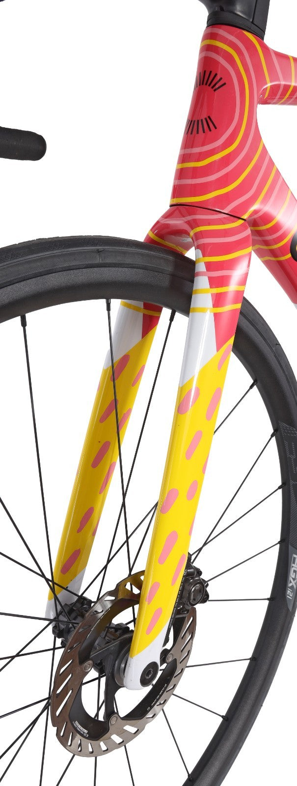 Cannondale EF Pro Team Issue SuperSix EVO LAB71 2x 12s Di2 Carbon Bike 54cm Road