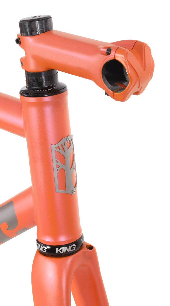 Mosaic RT-1d Titanium Road Bike Frameset 54cm Flat Mount Disc ENVE Custom