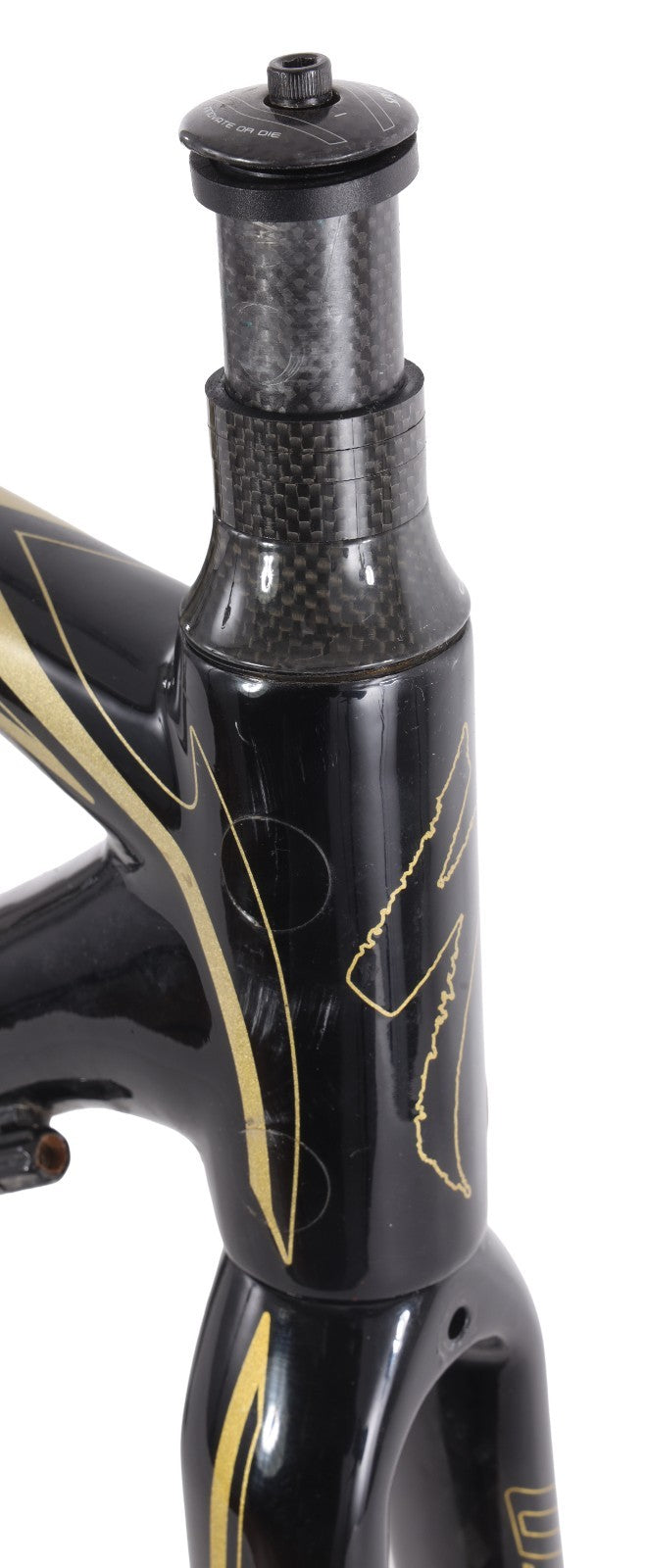 Specialized Tarmac Pro Carbon Road Bike Frameset 52cm Raw Gold 700c QR Rim 2008