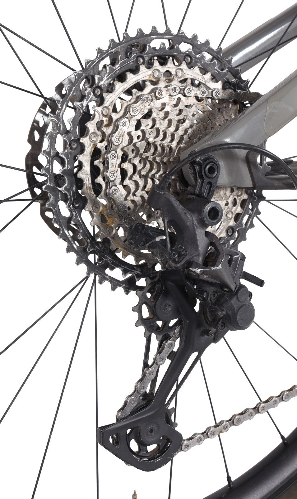 Cannondale Scalpel Carbon SE 1 Mtn Bike 1x 12s 29" MED RockShox Shimano XT 2022