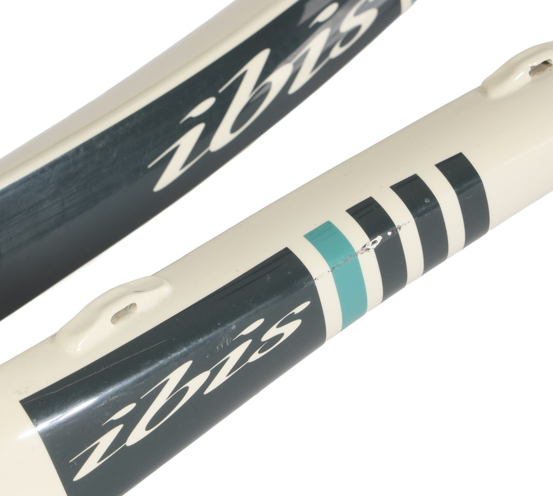 Ibis DV9 V1 29" Carbon Disc Hardtail Mtn Bike Frame BONE XL T/A REPAIRED 2019