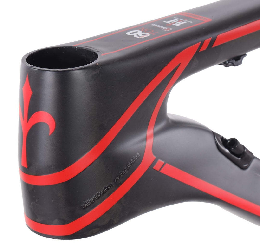 Wilier Triestina 101XN 29" Carbon Disc Hardtail Mtn Bike Frame LARGE QR/TA 2013