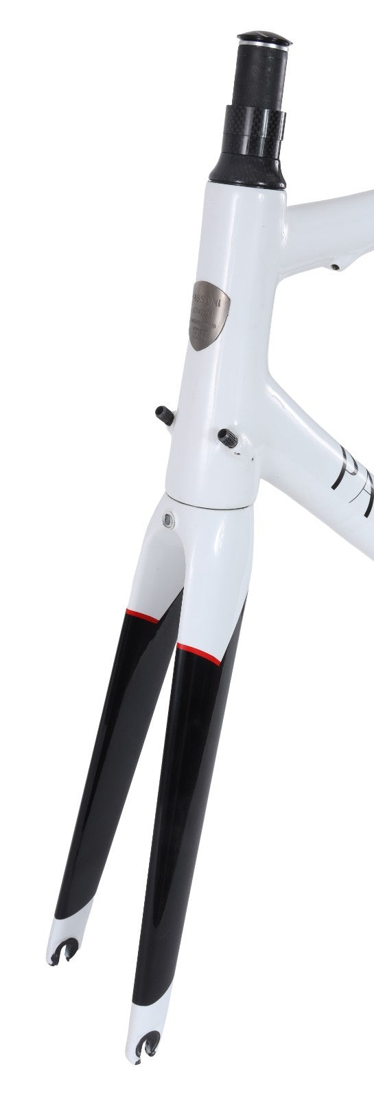 Passoni Nero XL Carbon Ti Road Bike Frameset 56cm WHITE/BLACK 700c QR Italy